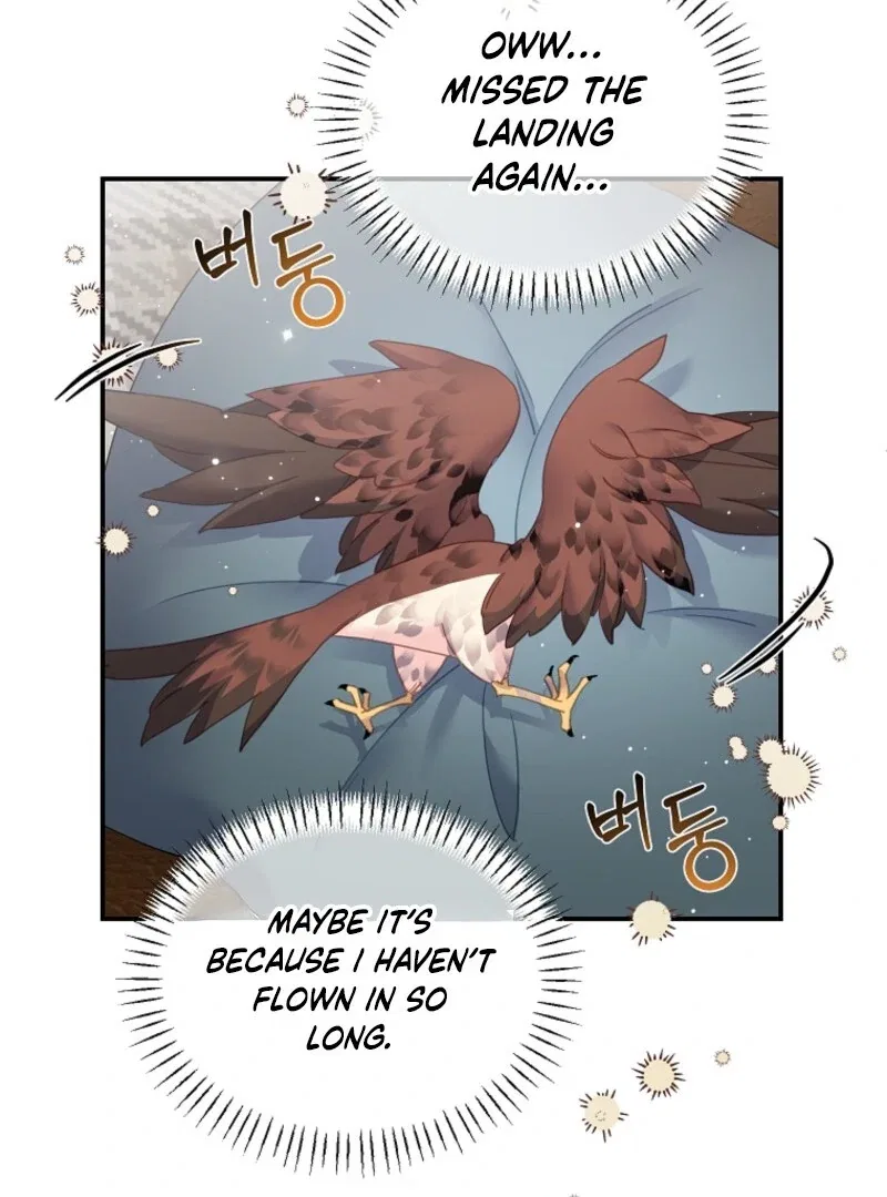 The Falcon Princess Chapter 145 – Page 19