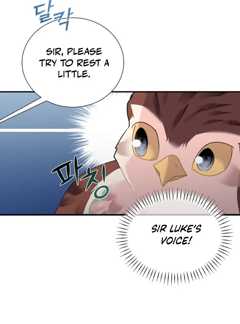 The Falcon Princess Chapter 145 – Page 23