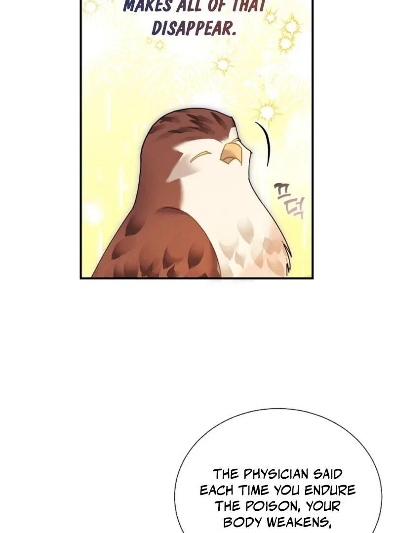 The Falcon Princess Chapter 145 – Page 66