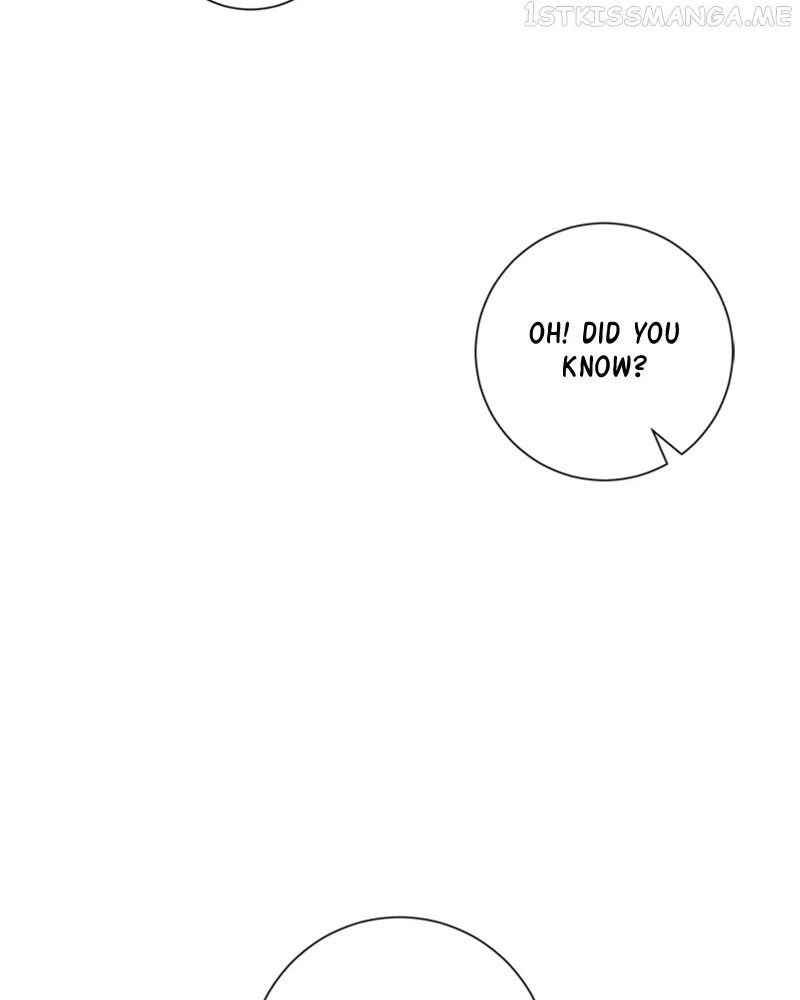My dazzling ex-husband Chapter 78 – Page 52