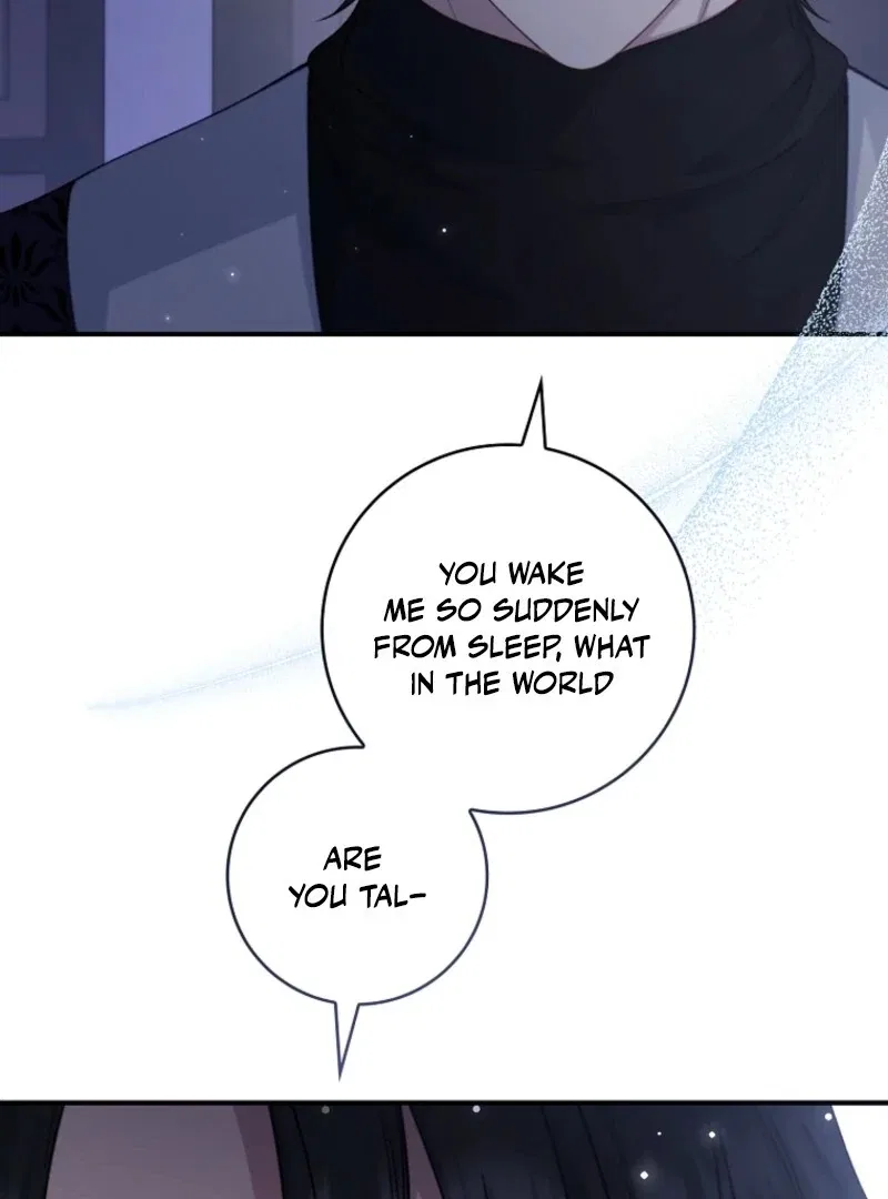 The Fake Lady of House Silkisia Chapter 112 – Page 87