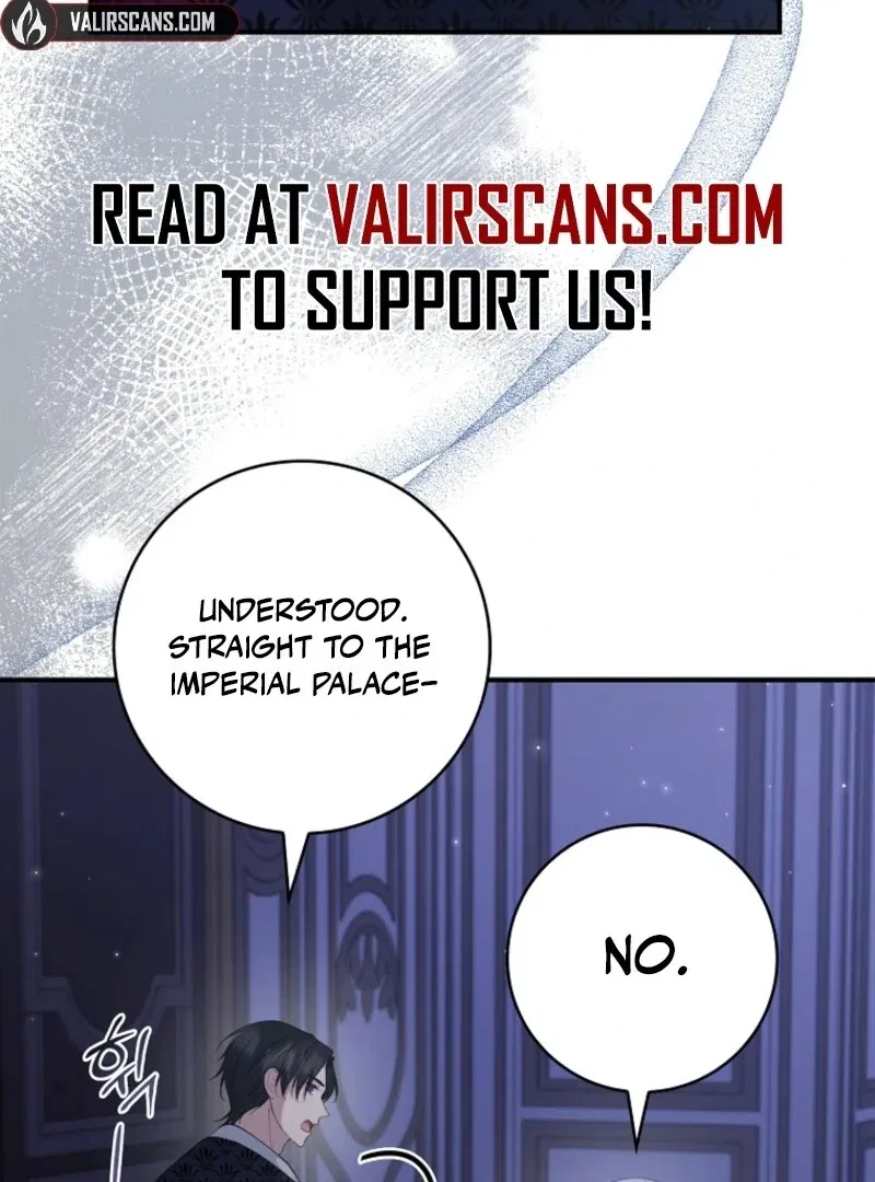 The Fake Lady of House Silkisia Chapter 112 – Page 90