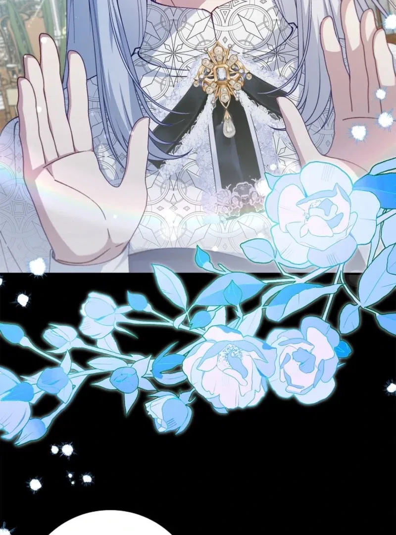 The Fake Lady of House Silkisia Chapter 110 – Page 8