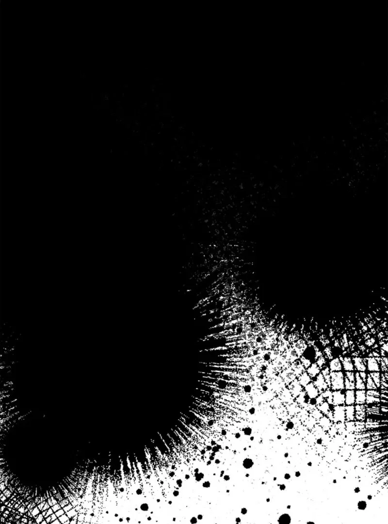 The Fake Lady of House Silkisia Chapter 110 – Page 81