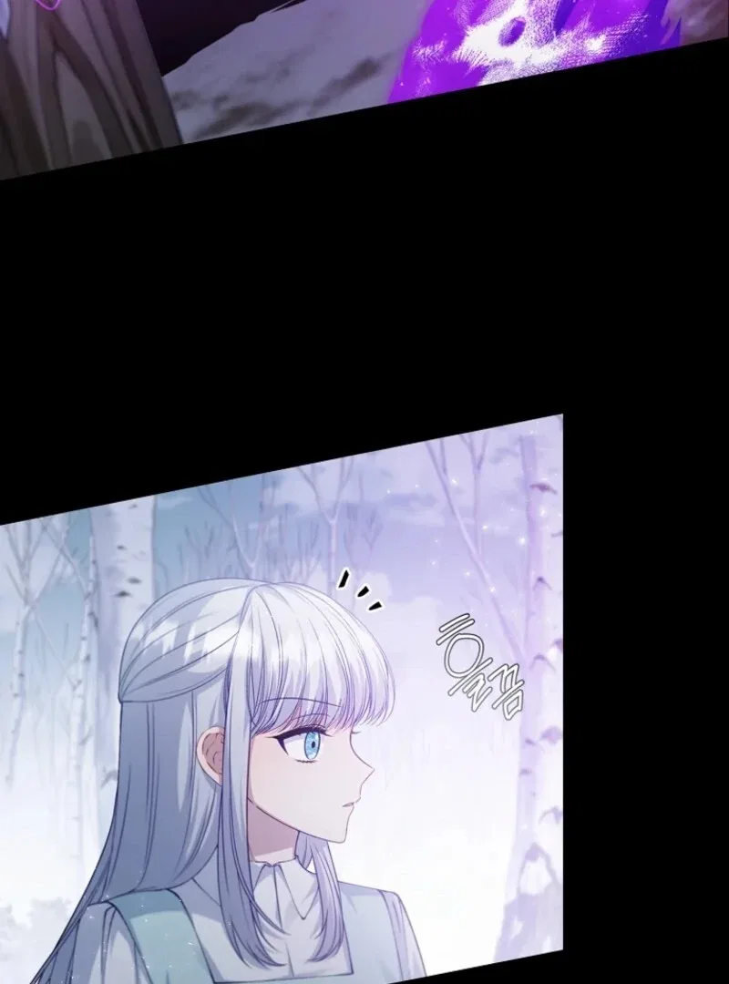 The Fake Lady of House Silkisia Chapter 109 – Page 45