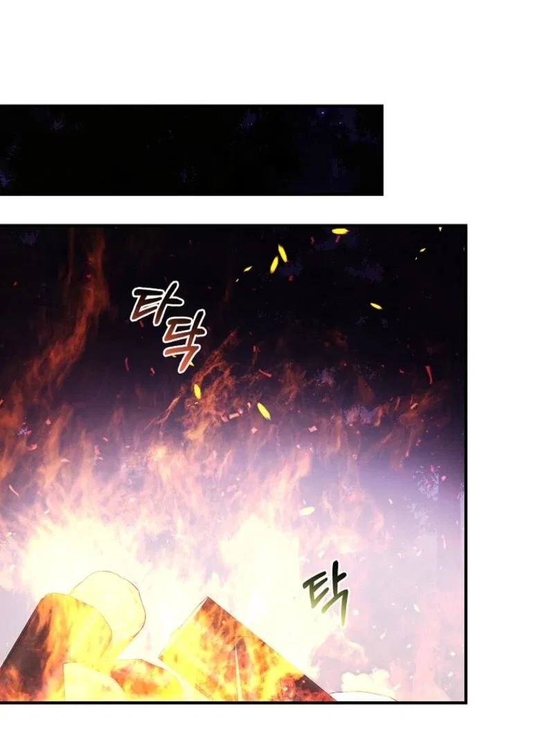 The Fake Lady of House Silkisia Chapter 108 – Page 13