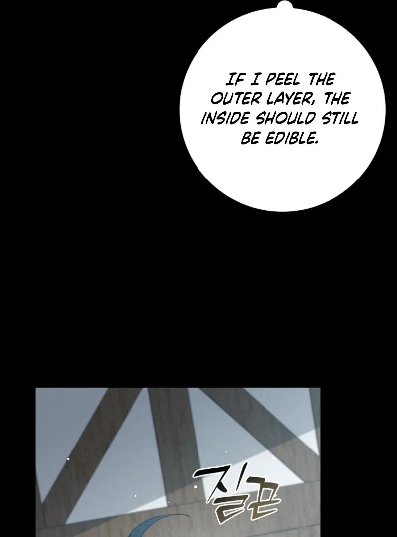 The Fake Lady of House Silkisia Chapter 108 – Page 68