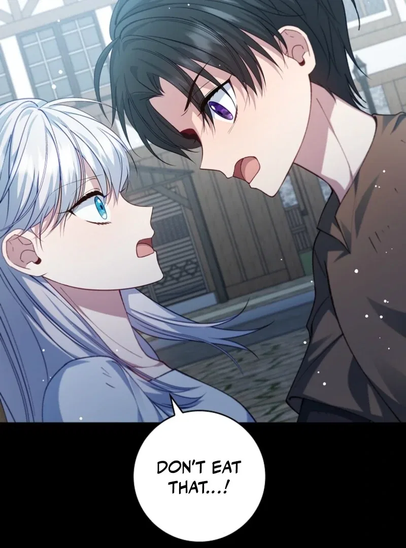 The Fake Lady of House Silkisia Chapter 108 – Page 74