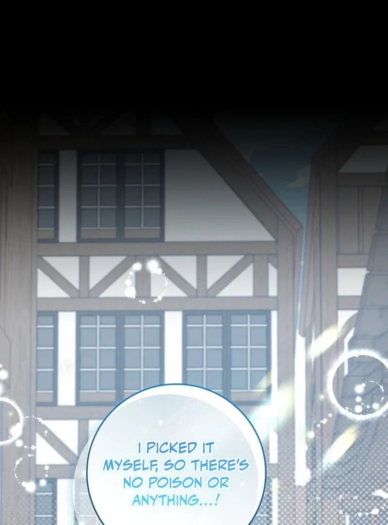 The Fake Lady of House Silkisia Chapter 108 – Page 87