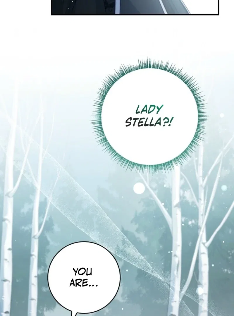 The Fake Lady of House Silkisia Chapter 107 – Page 16