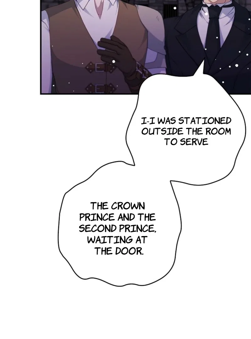 The Fake Lady of House Silkisia Chapter 106 – Page 25