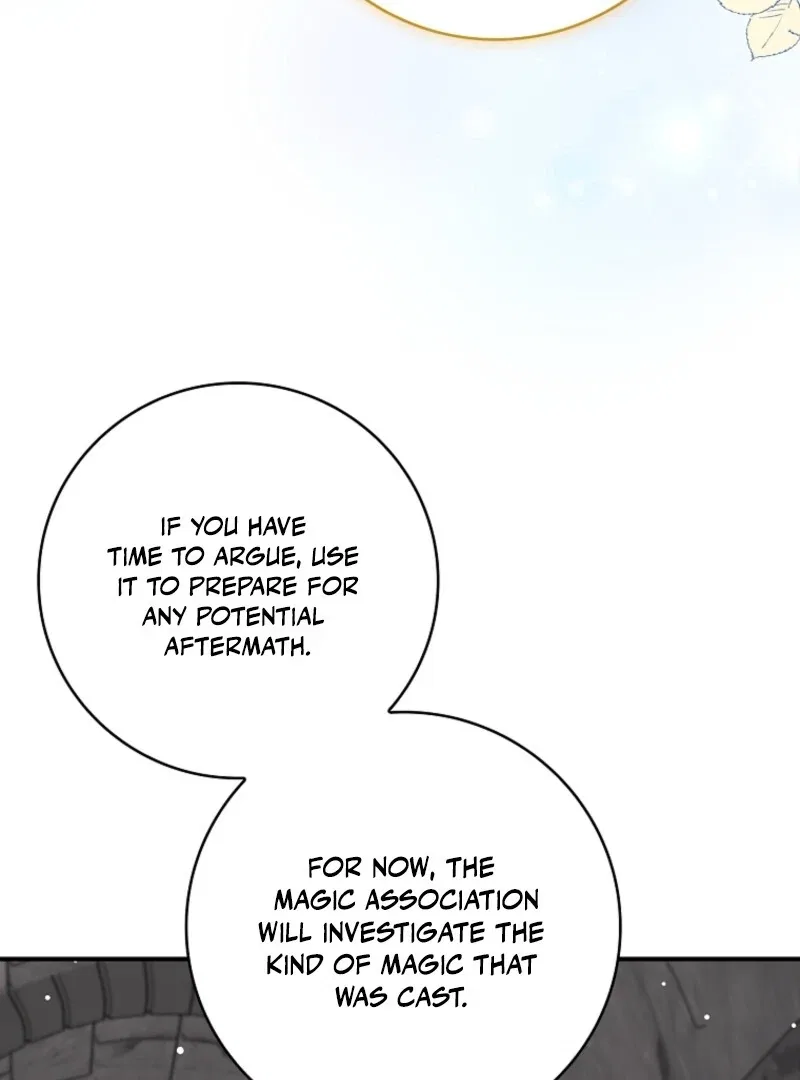 The Fake Lady of House Silkisia Chapter 106 – Page 43