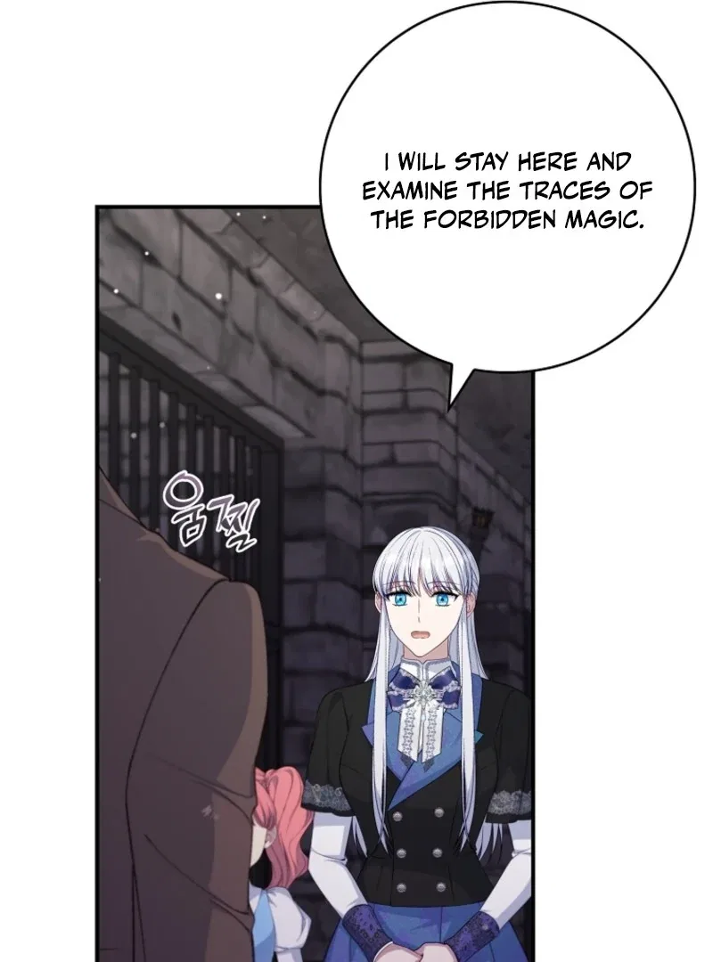 The Fake Lady of House Silkisia Chapter 106 – Page 46