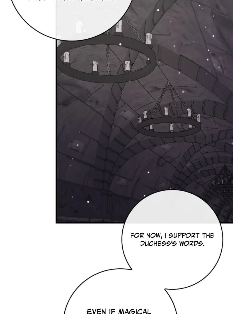 The Fake Lady of House Silkisia Chapter 106 – Page 50