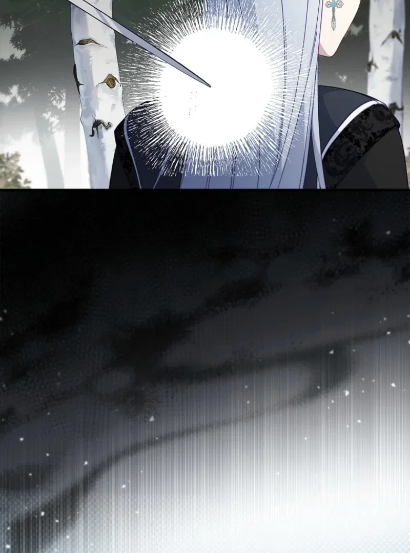 The Fake Lady of House Silkisia Chapter 106 – Page 137