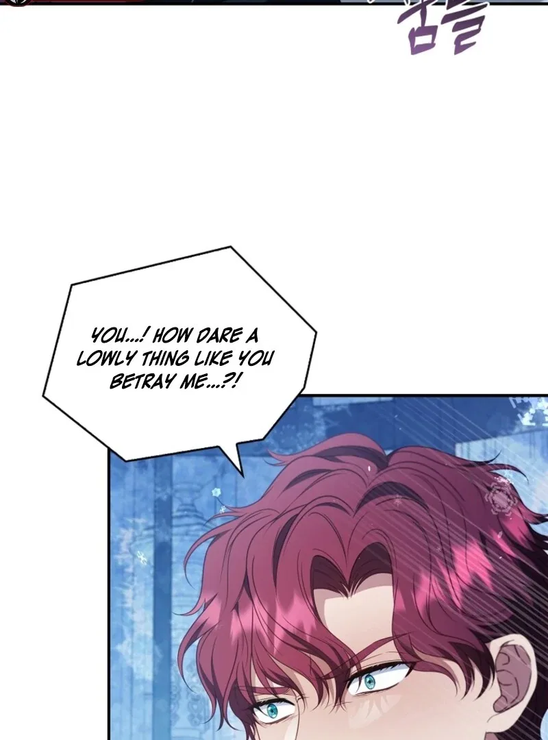 The Fake Lady of House Silkisia Chapter 105 – Page 37
