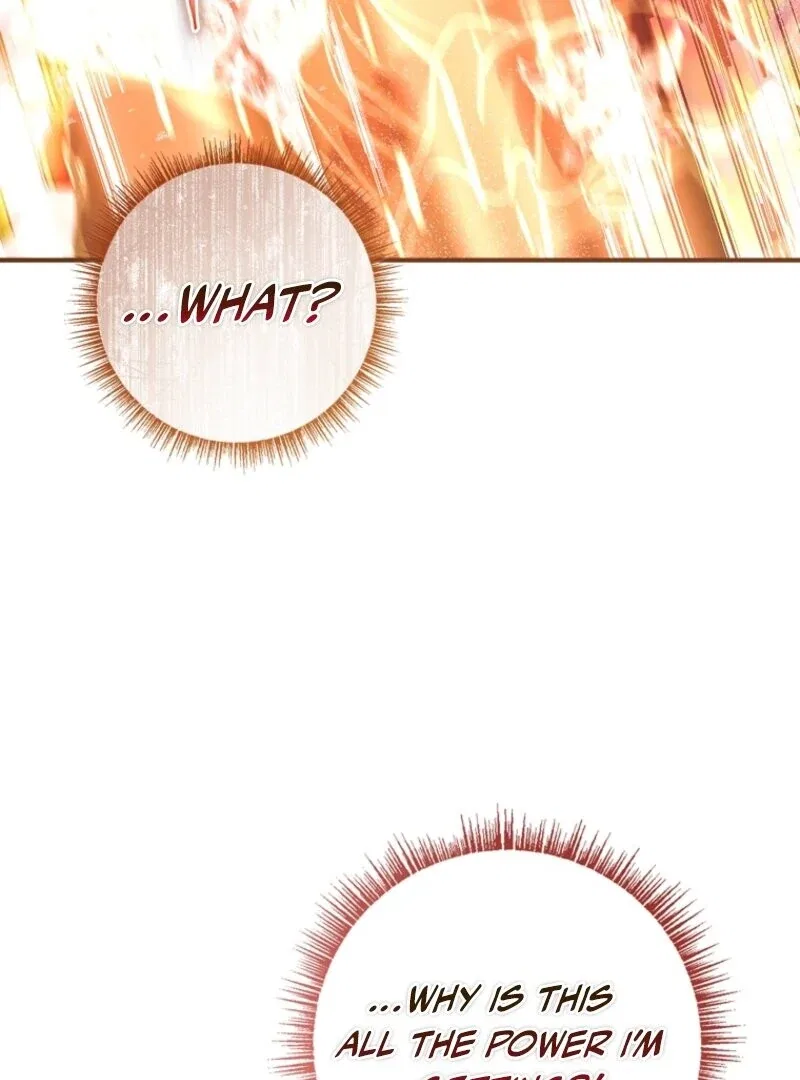 The Fake Lady of House Silkisia Chapter 104 – Page 116