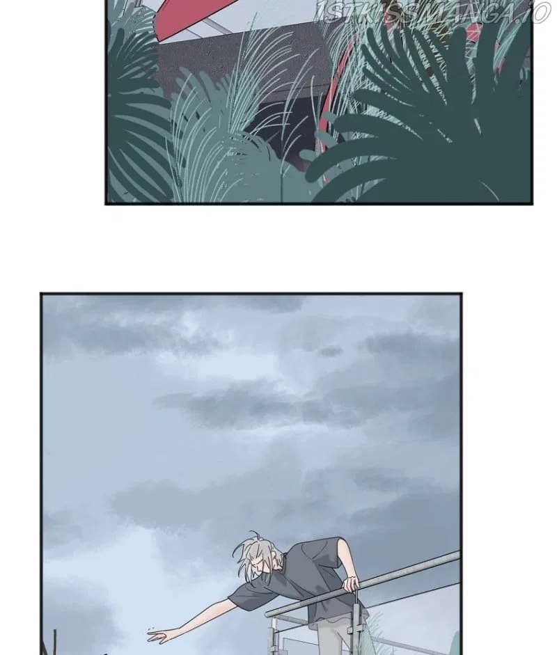 The Looks of Love: the heart has its reasons Chapter 91 – Page 8