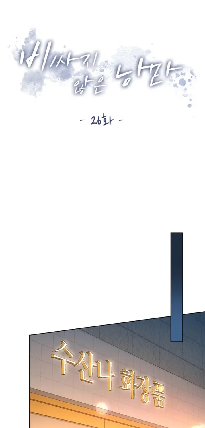 Affordable Romance Chapter 26 – Page 31