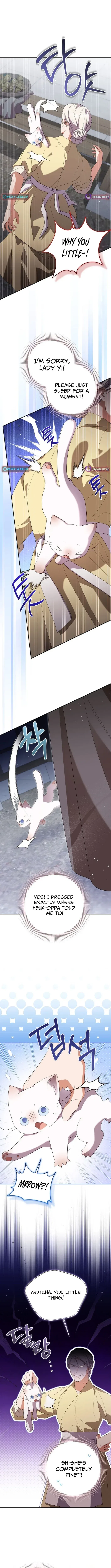 A Baby Cat Who Commands the Dog Clan Chapter 23 – Page 2