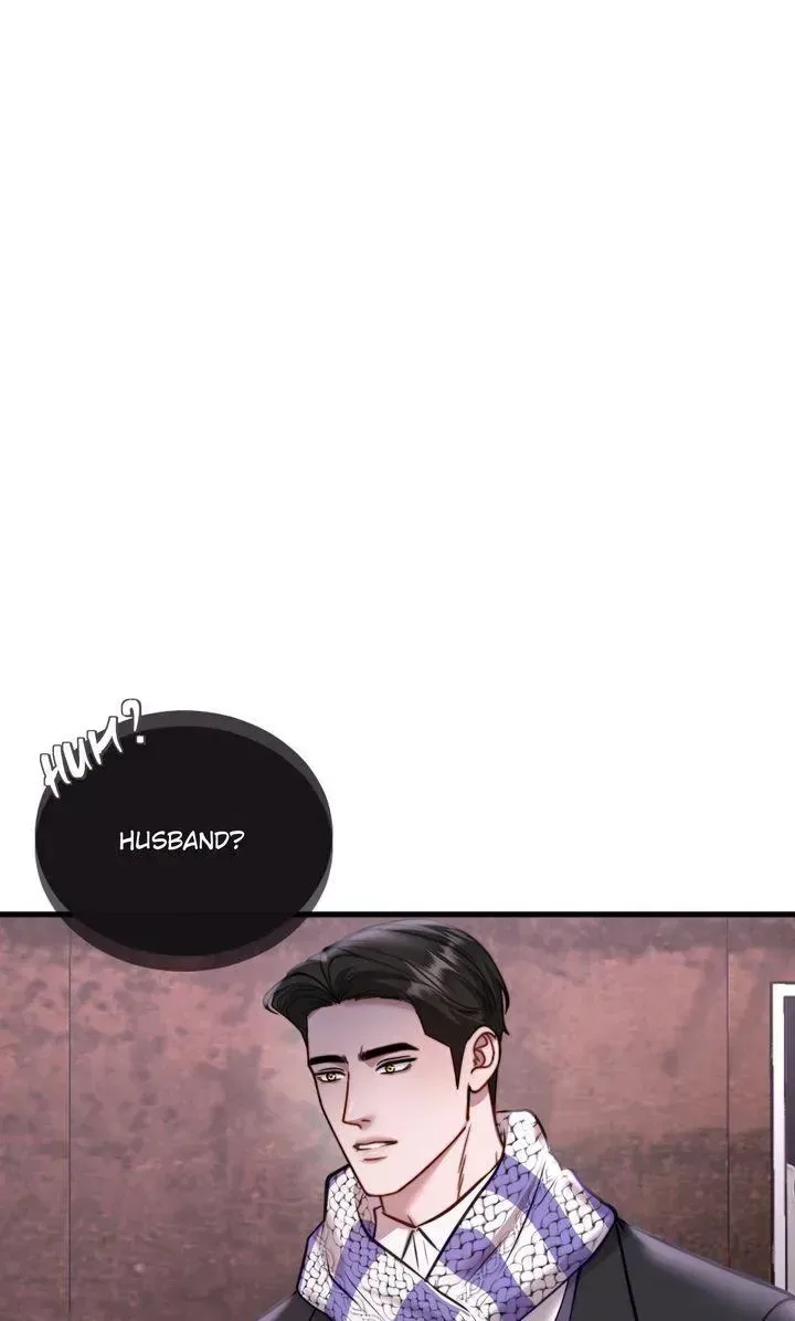 The Billionaire’s Replacement Wife Chapter 85 – Page 31