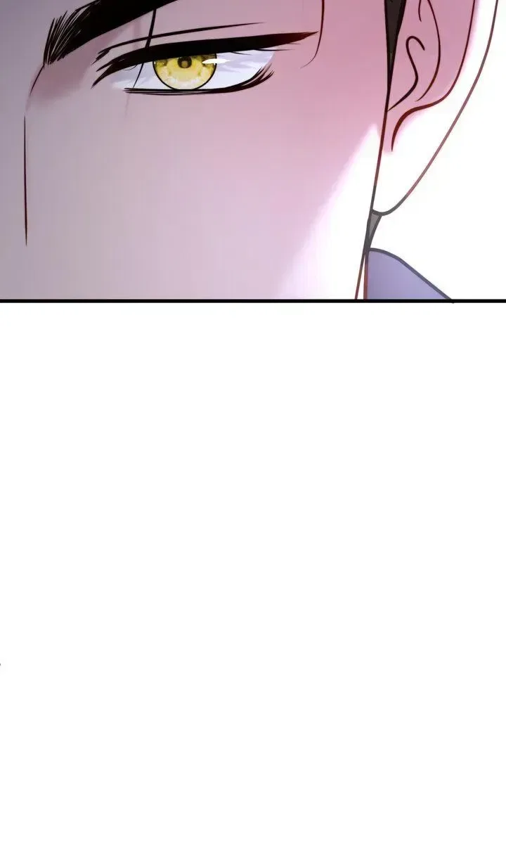 The Billionaire’s Replacement Wife Chapter 85 – Page 95
