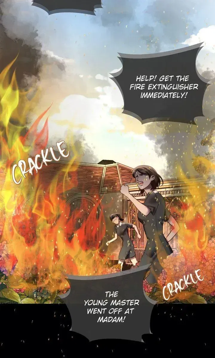 The Billionaire’s Replacement Wife Chapter 84 – Page 30