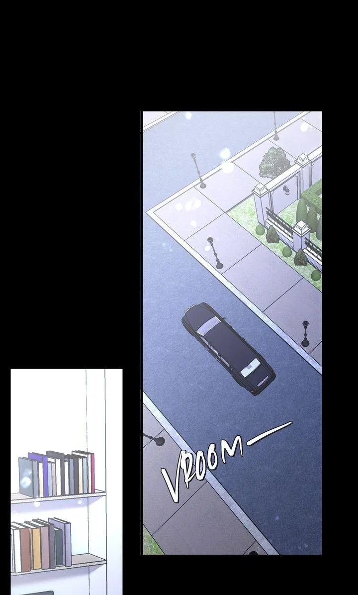 The Billionaire’s Replacement Wife Chapter 79 – Page 52