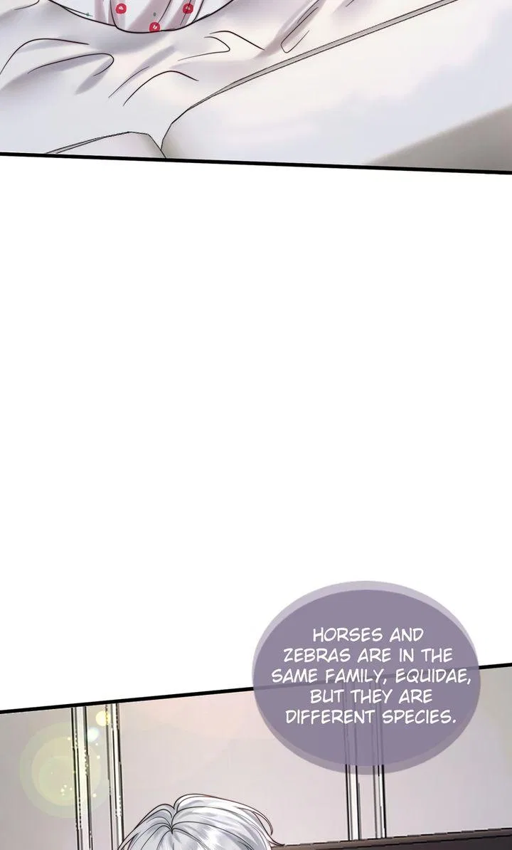 The Billionaire’s Replacement Wife Chapter 71 – Page 2