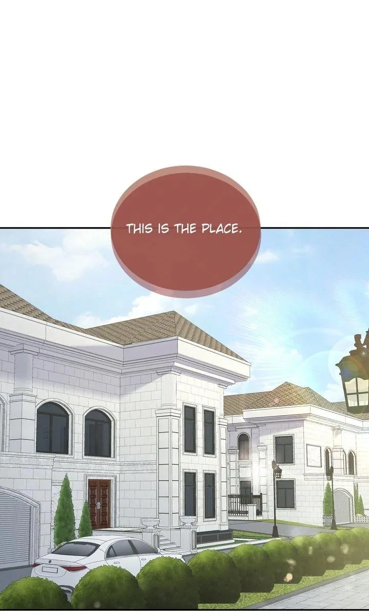The Billionaire’s Replacement Wife Chapter 62 – Page 2