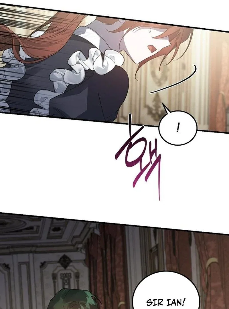 A Revenge Guide for the Terminally Ill Maid Chapter 42 – Page 27