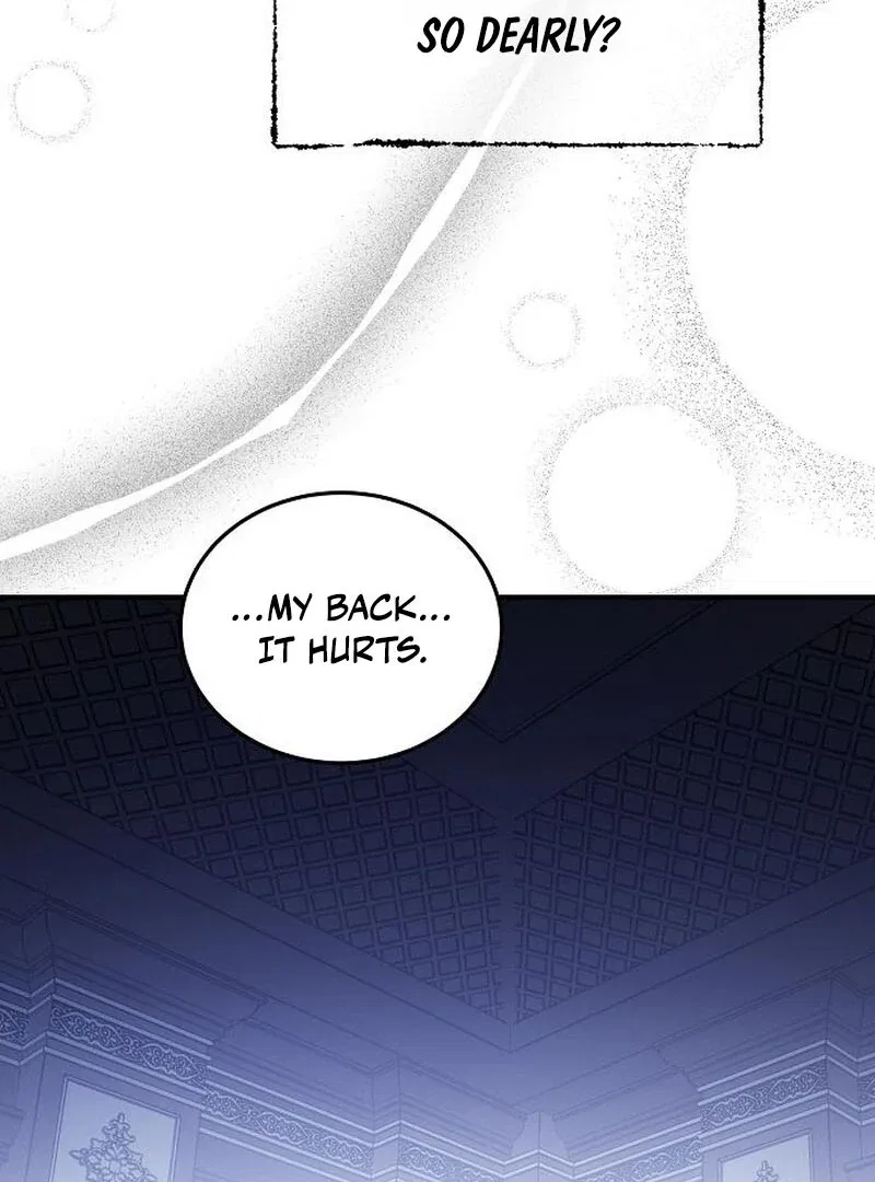 A Revenge Guide for the Terminally Ill Maid Chapter 36 – Page 47