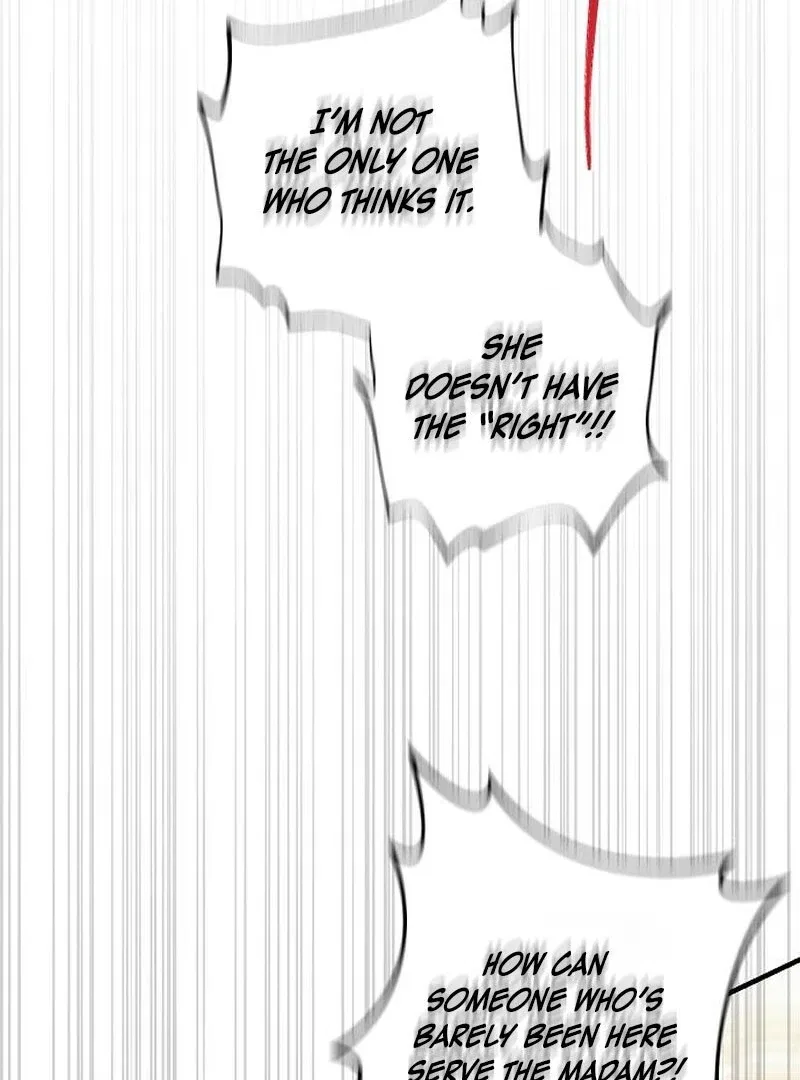 A Revenge Guide for the Terminally Ill Maid Chapter 35 – Page 73