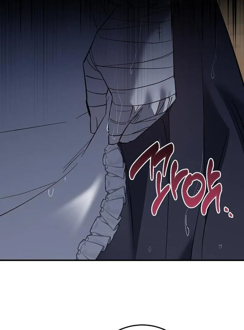 A Revenge Guide for the Terminally Ill Maid Chapter 35 – Page 84