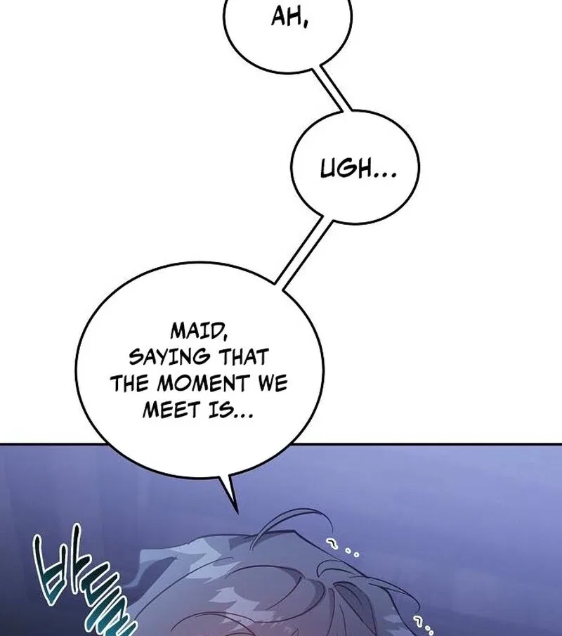 A Revenge Guide for the Terminally Ill Maid Chapter 34 – Page 27