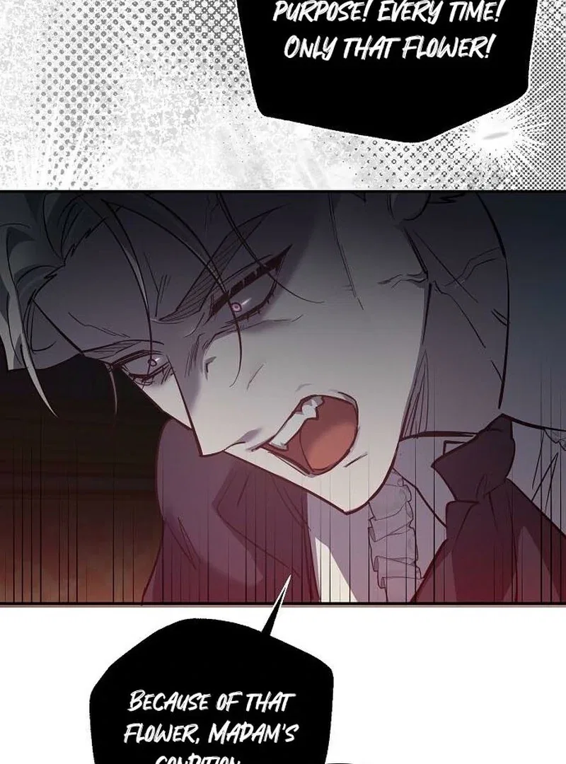 A Revenge Guide for the Terminally Ill Maid Chapter 34 – Page 107