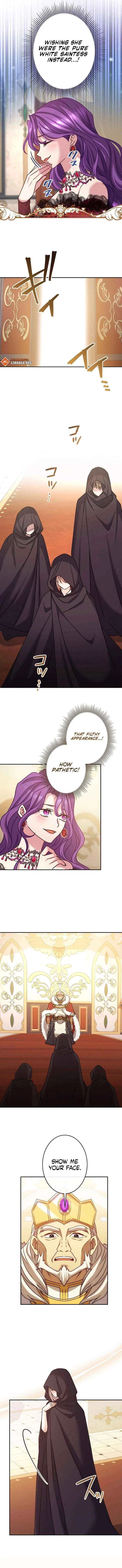 You Don’t Mind If I Destroy This Kingdom, Right? The Pure White Saintess Vows Revenge Chapter 13 – Page 3