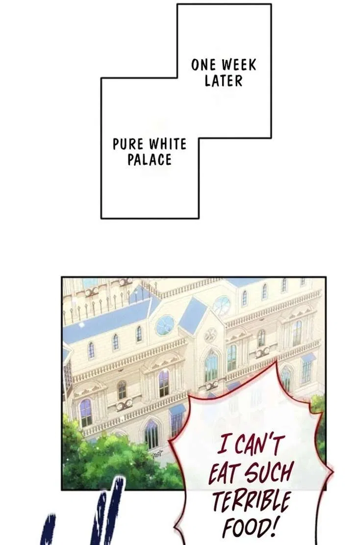 You Don’t Mind If I Destroy This Kingdom, Right? The Pure White Saintess Vows Revenge Chapter 8 – Page 10