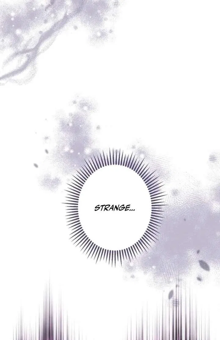 You Don’t Mind If I Destroy This Kingdom, Right? The Pure White Saintess Vows Revenge Chapter 4 – Page 17