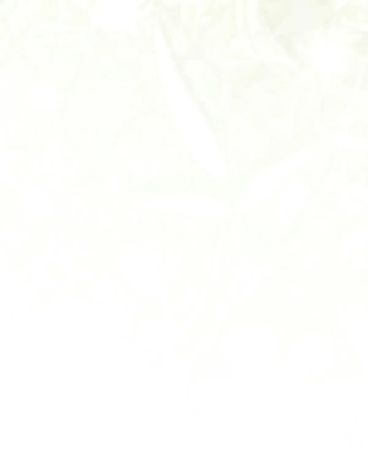 Dearest Fiancé, I Know You Despise Me Chapter 54 – Page 80
