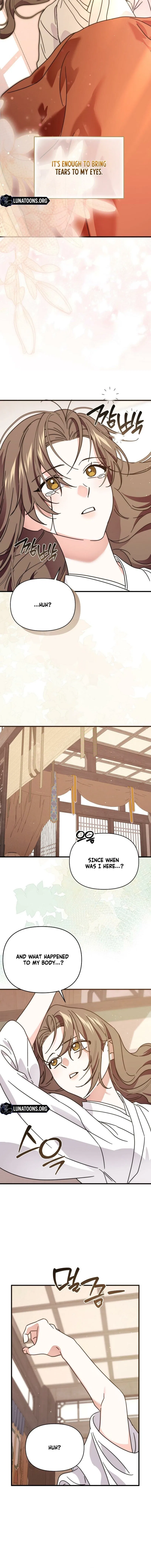 Like Spring Fluttering Across the Snowy Mountains Chapter 20 – Page 14