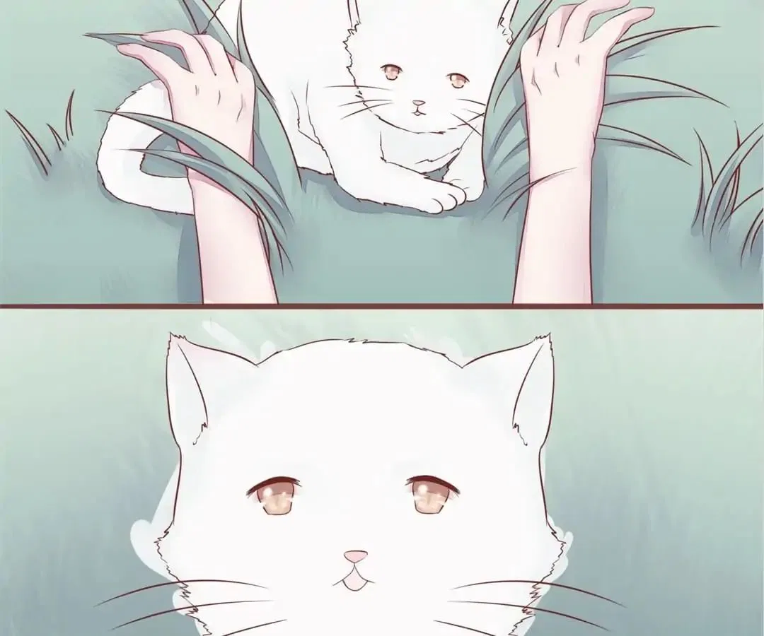 Guide to Raising Kitty Boyfriend Chapter 56 – Page 7