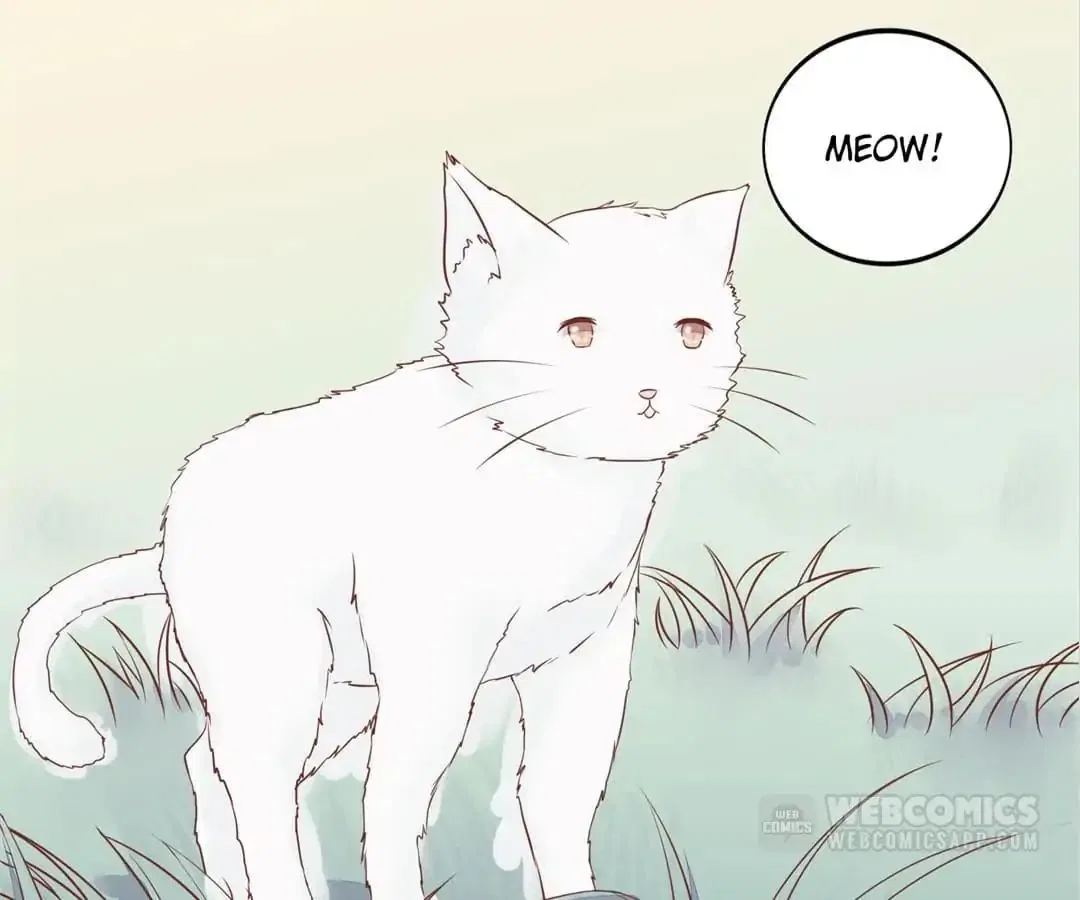 Guide to Raising Kitty Boyfriend Chapter 56 – Page 10
