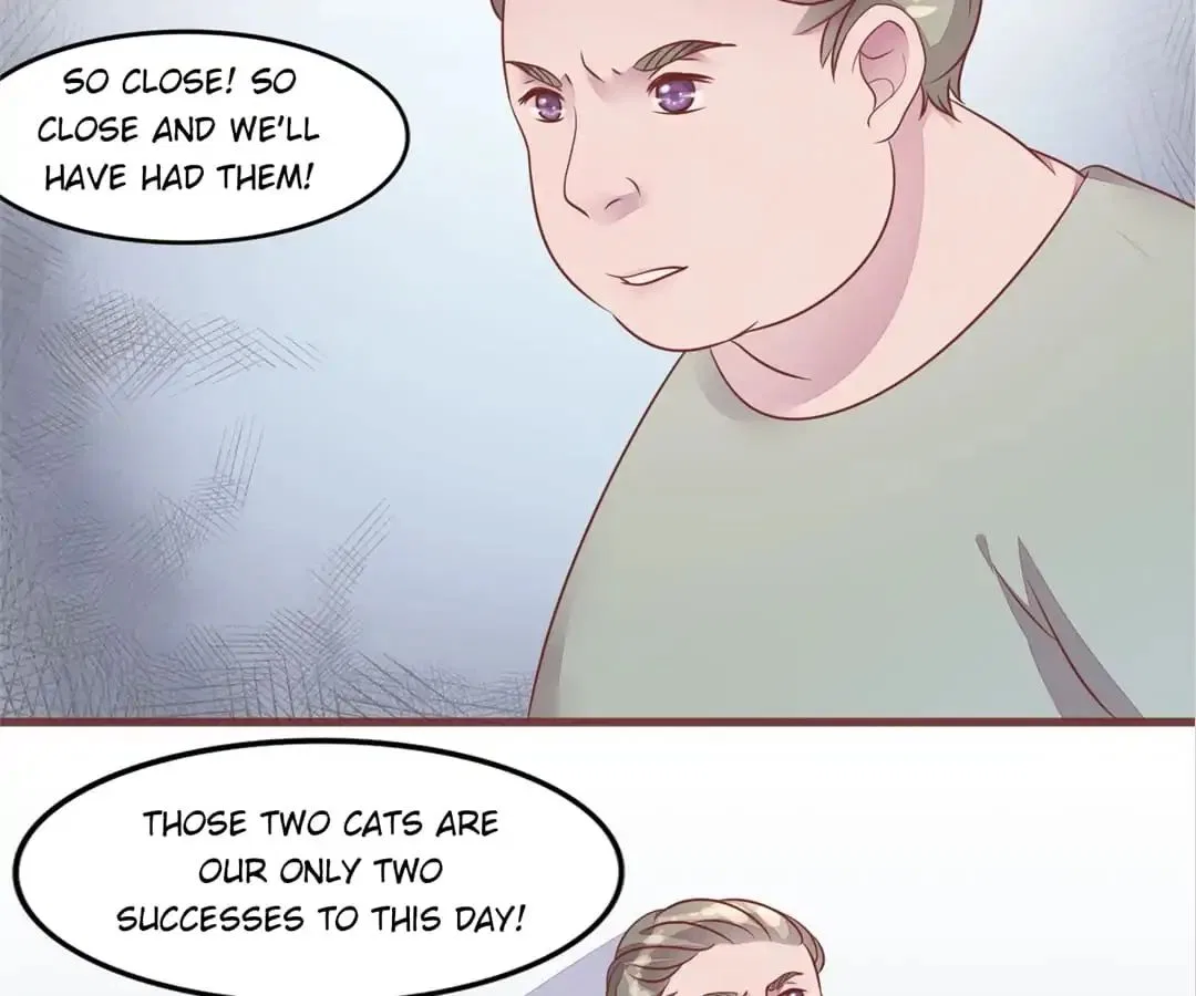 Guide to Raising Kitty Boyfriend Chapter 55 – Page 3