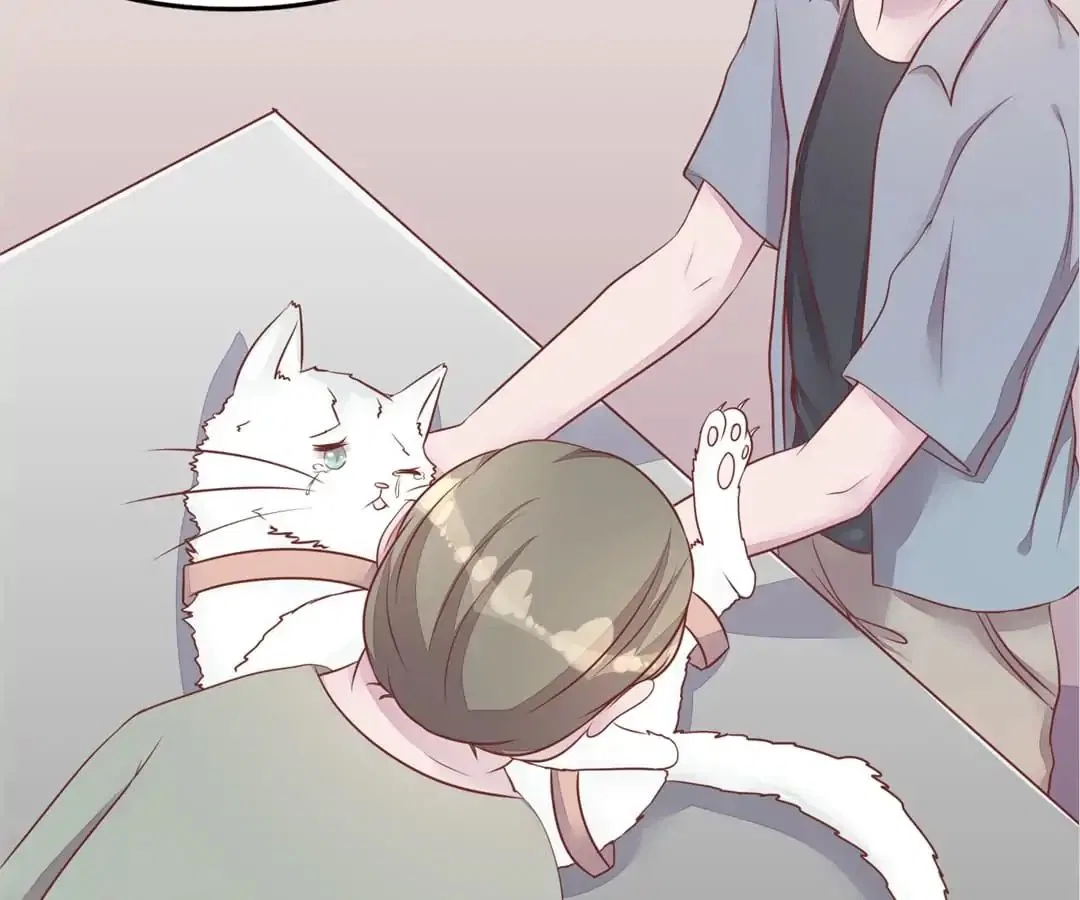 Guide to Raising Kitty Boyfriend Chapter 54 – Page 56