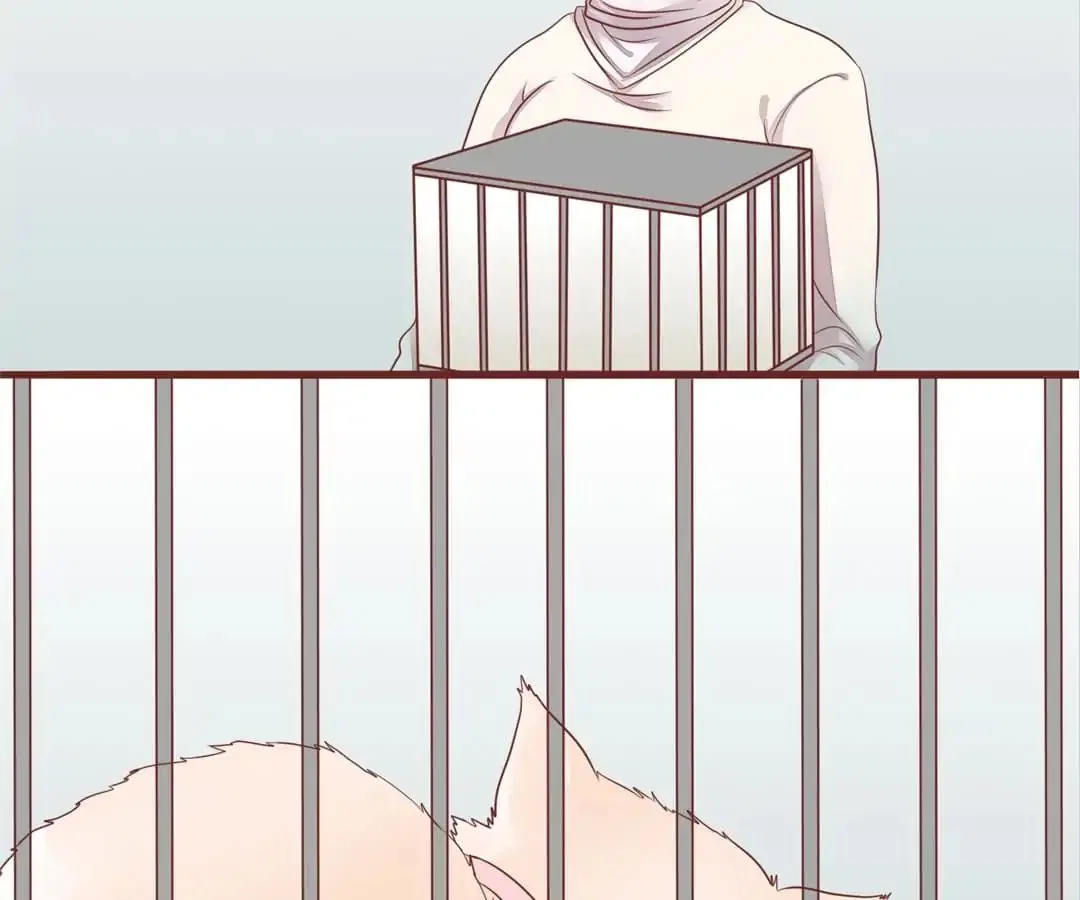 Guide to Raising Kitty Boyfriend Chapter 52 – Page 36