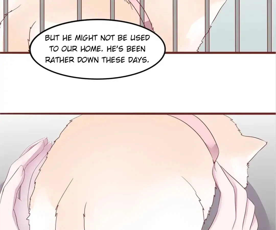 Guide to Raising Kitty Boyfriend Chapter 52 – Page 37
