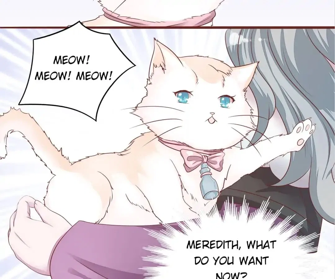Guide to Raising Kitty Boyfriend Chapter 52 – Page 40