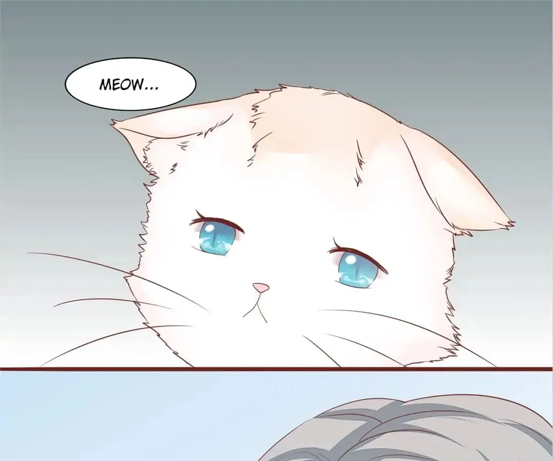 Guide to Raising Kitty Boyfriend Chapter 52 – Page 52