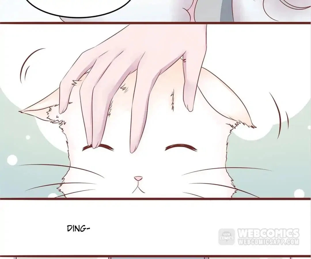 Guide to Raising Kitty Boyfriend Chapter 52 – Page 54
